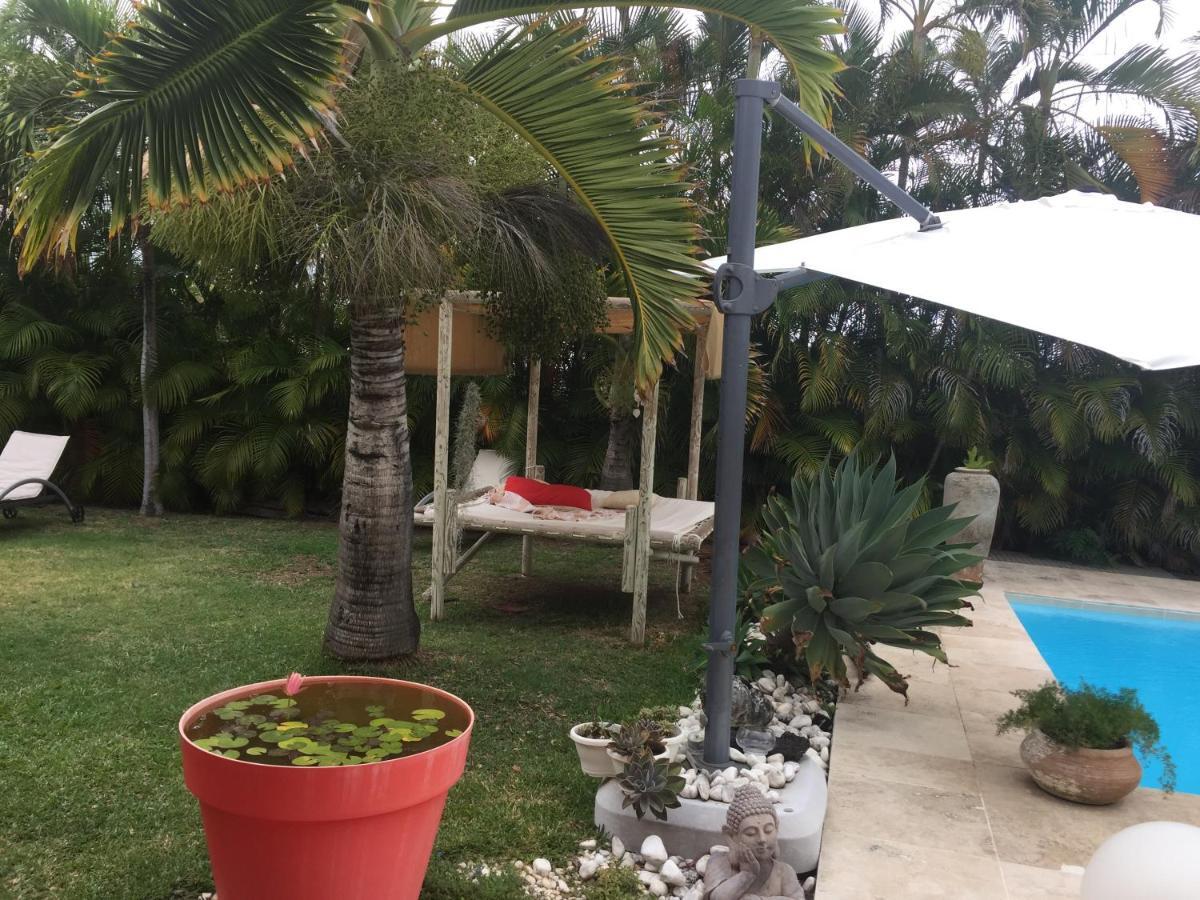 La Maison Du Bonheur Saint Pierre Dış mekan fotoğraf